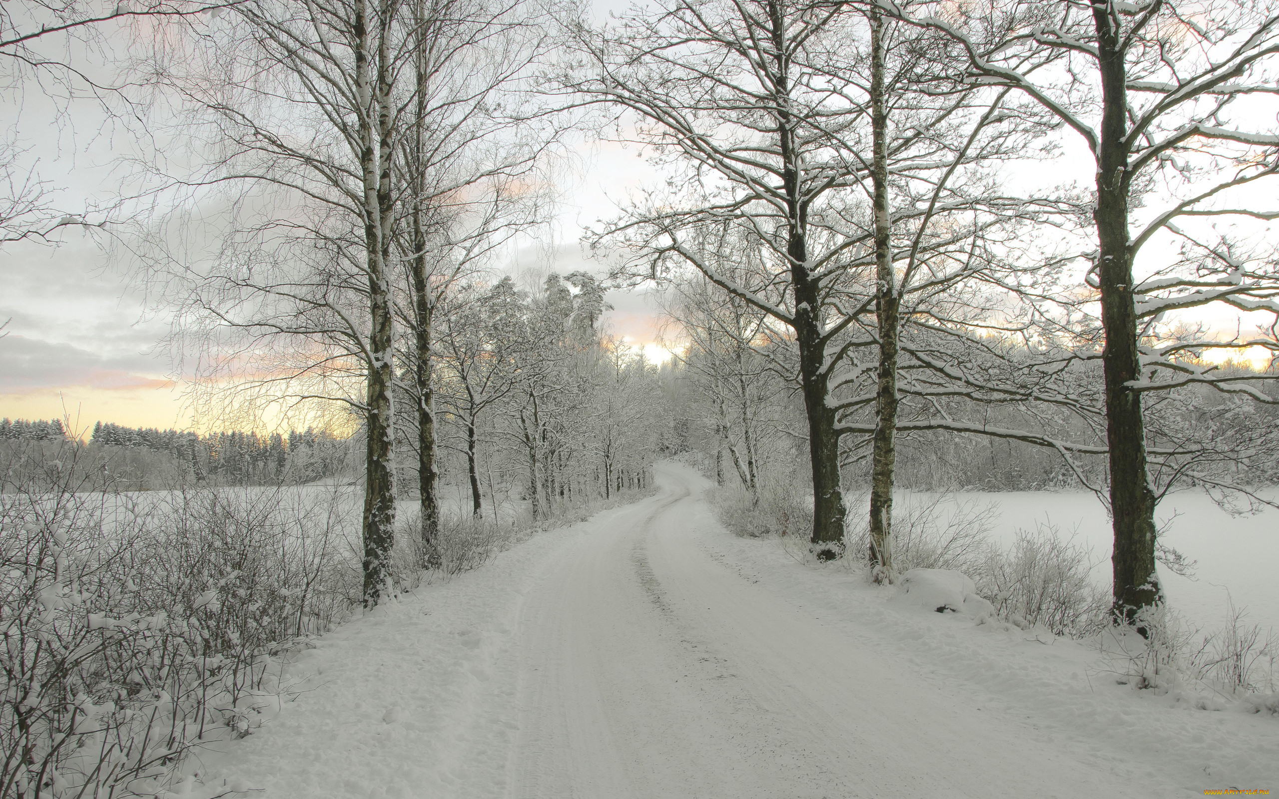 Зимняя дорога песни. Зимняя дорога. Шелехово дорога поле зимой. Первый снег картинки HD 1920x1080. Обои на рабочий стол на заре зима деревня.